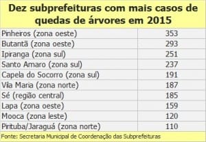 São Paulo bate recorde de quedas de árvores; veja bairros com mais casos