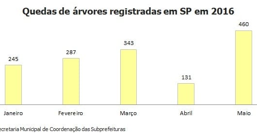São Paulo teve 460 quedas de árvores em maio