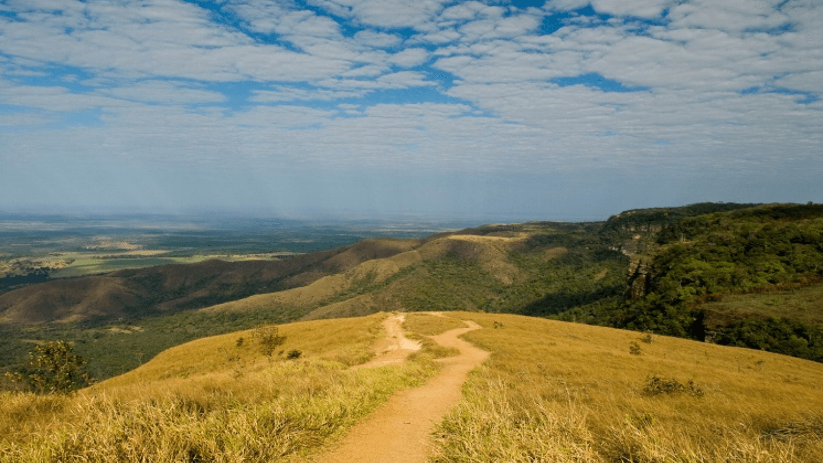 Fiquem Sabendo lançará treinamento em investigações ambientais para comunicadores do Centro-Oeste