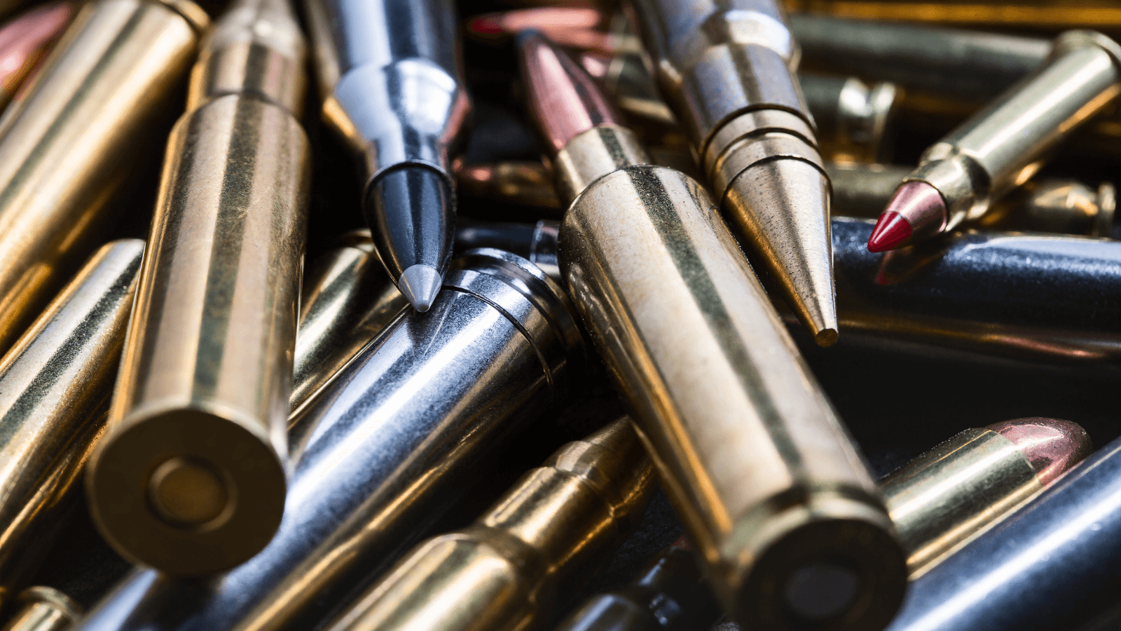 Comando do Exército cancelou 60,4 mil registros desde 2019, 40,7% deles já no governo Lula