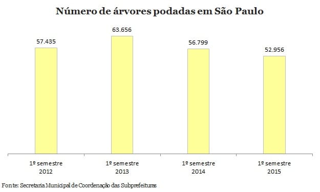 10 bairros que podaram menos árvores na primeira metade de 2015