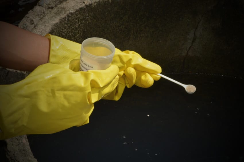 Infestação por Aedes aegypti cresce em 34 bairros de SP; veja lista