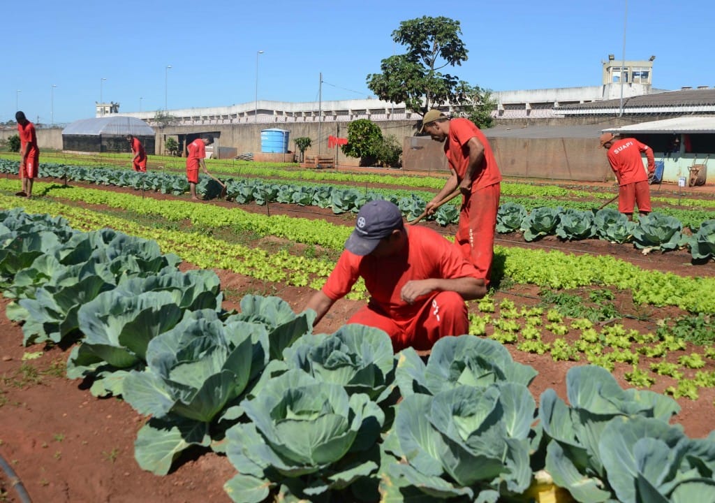 Governo de SP mantém 5.700 presos do semiaberto no regime fechado