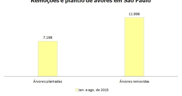 Subprefeituras removem mais árvores do que plantam em São Paulo