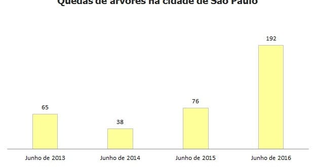 Quedas de árvores mais que dobram em junho em São Paulo
