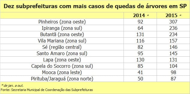 Quedas de árvores crescem 77% na cidade de São Paulo em 2015