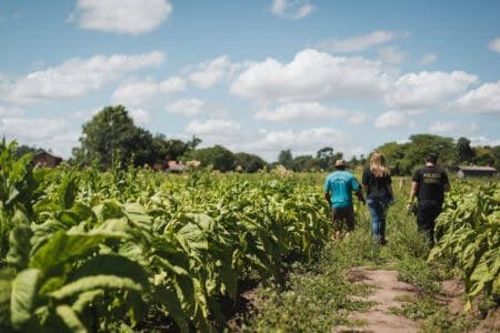 Brasil teve 1,4 mil trabalhadores em situação de escravidão moderna resgatados em 2023