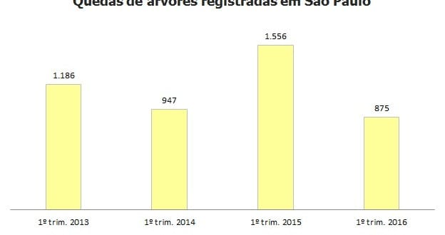 Quedas de árvores caem 44% em São Paulo no primeiro trimestre