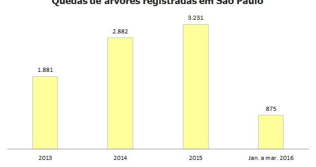 Com Haddad na prefeitura, SP tem 227 quedas de árvores por mês