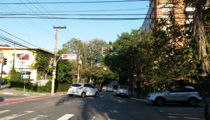 Número de árvores podadas é o menor em quatro anos